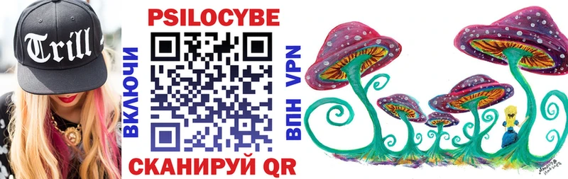мега ONION  наркошоп  Суворов  Галлюциногенные грибы Psilocybe 